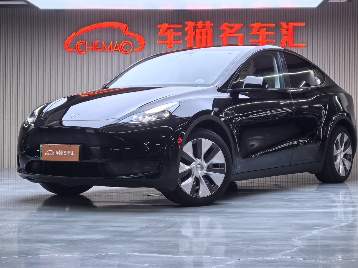 2023年9月特斯拉 Model Y  2020款 改款 長續(xù)航后輪驅動版