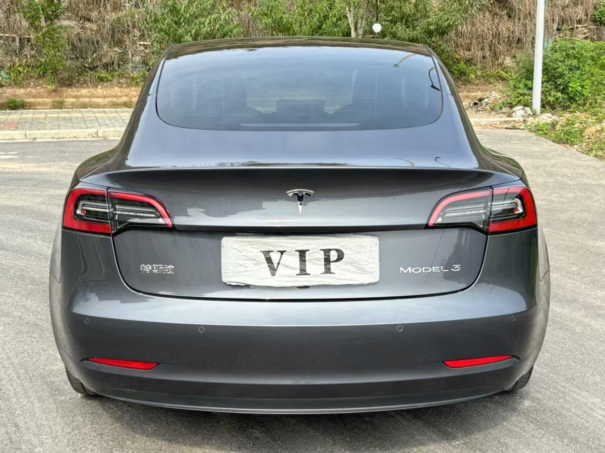 特斯拉 Model 3  2019款 標(biāo)準(zhǔn)續(xù)航后驅(qū)升級(jí)版圖片