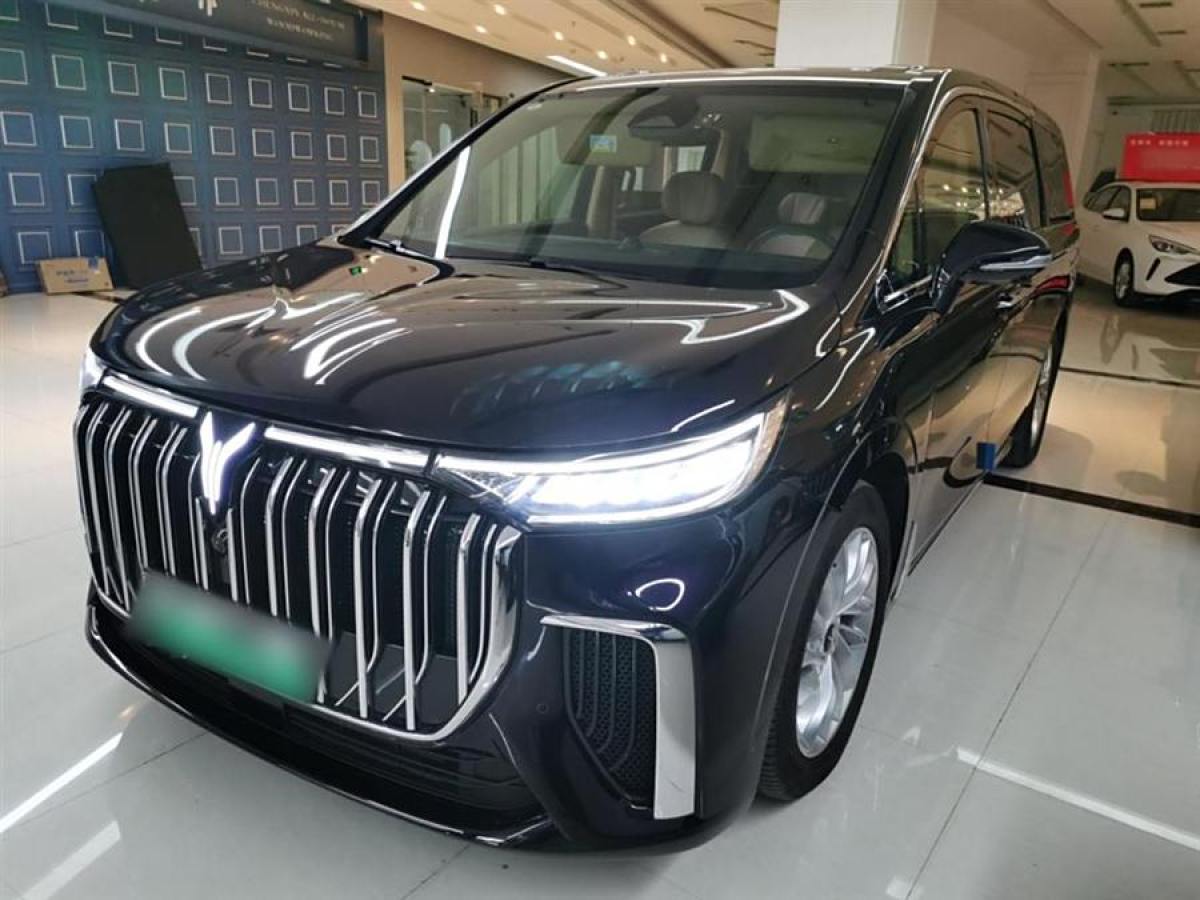 嵐圖 夢想家  2024款 PHEV 超長續(xù)航尊貴版圖片