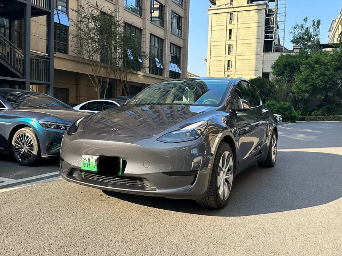 特斯拉 Model Y  2020款 改款 長續(xù)航后輪驅(qū)動版圖片