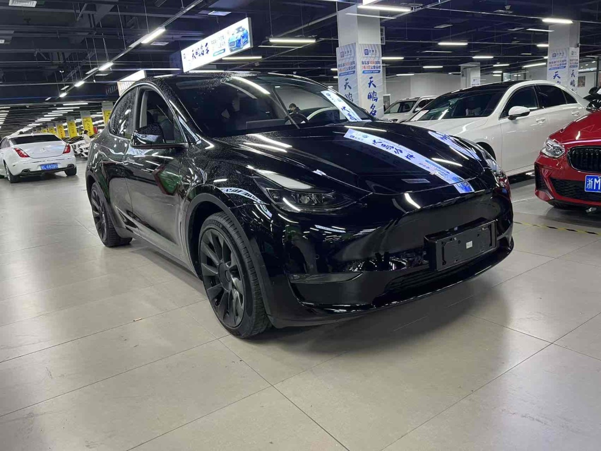 2021年1月特斯拉 Model 3  2021款 改款 標(biāo)準(zhǔn)續(xù)航后驅(qū)升級(jí)版