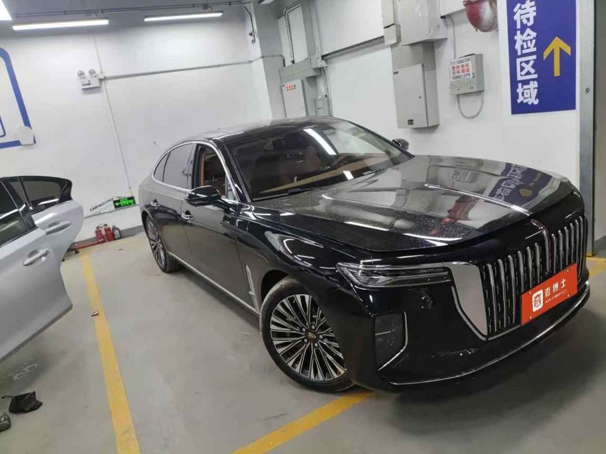 紅旗 紅旗國(guó)雅  2024款 3.0T V6版圖片