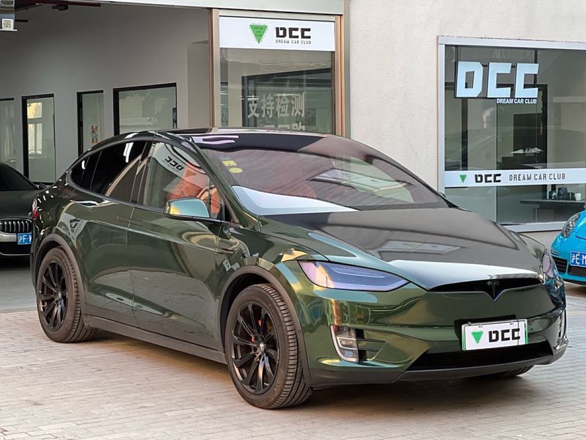 特斯拉 Model X  2019款 長續(xù)航版圖片