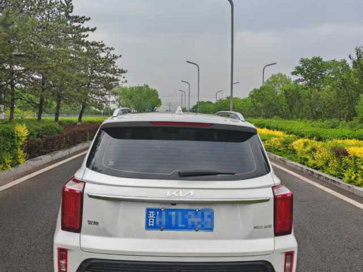 起亞 智跑  2021款 Ace 2.0L 精彩版圖片
