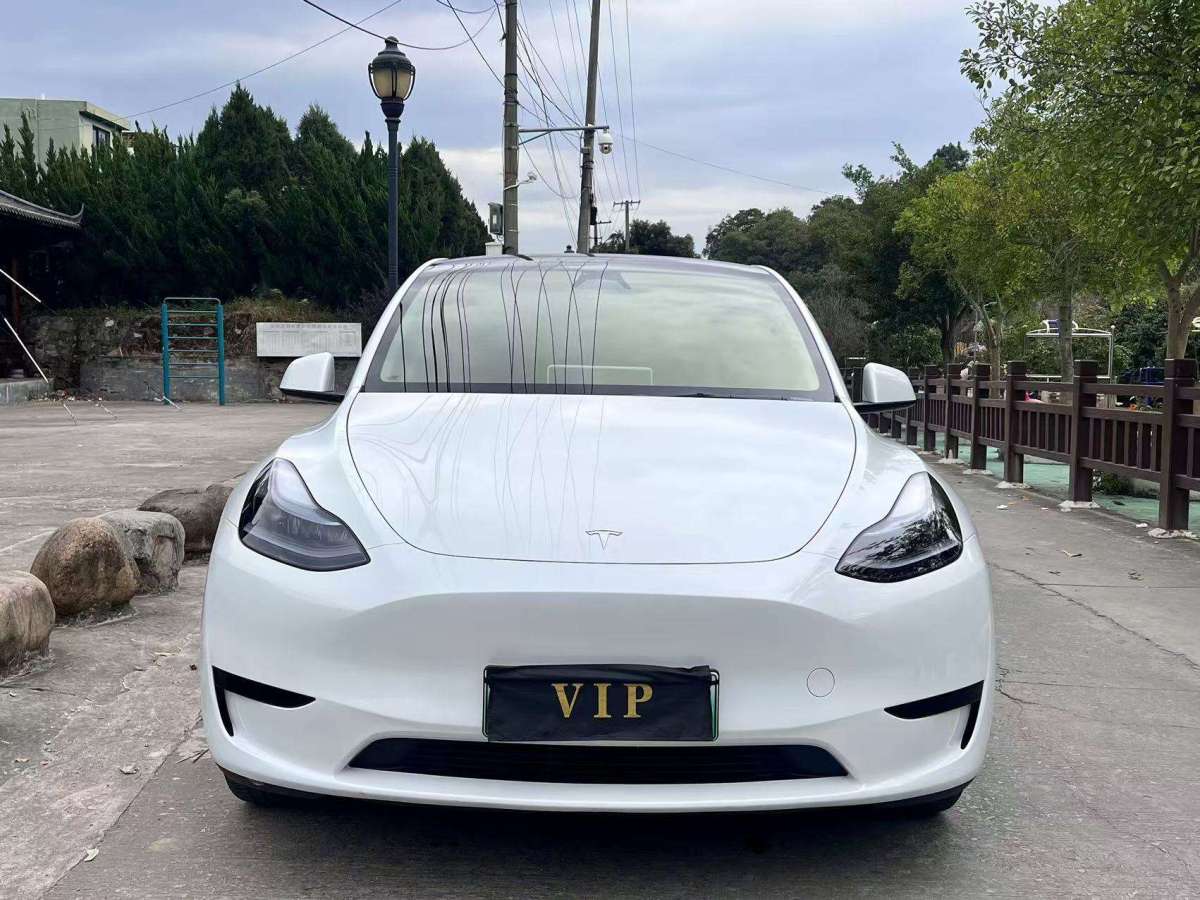 特斯拉 Model 3  2022款 后輪驅動版圖片