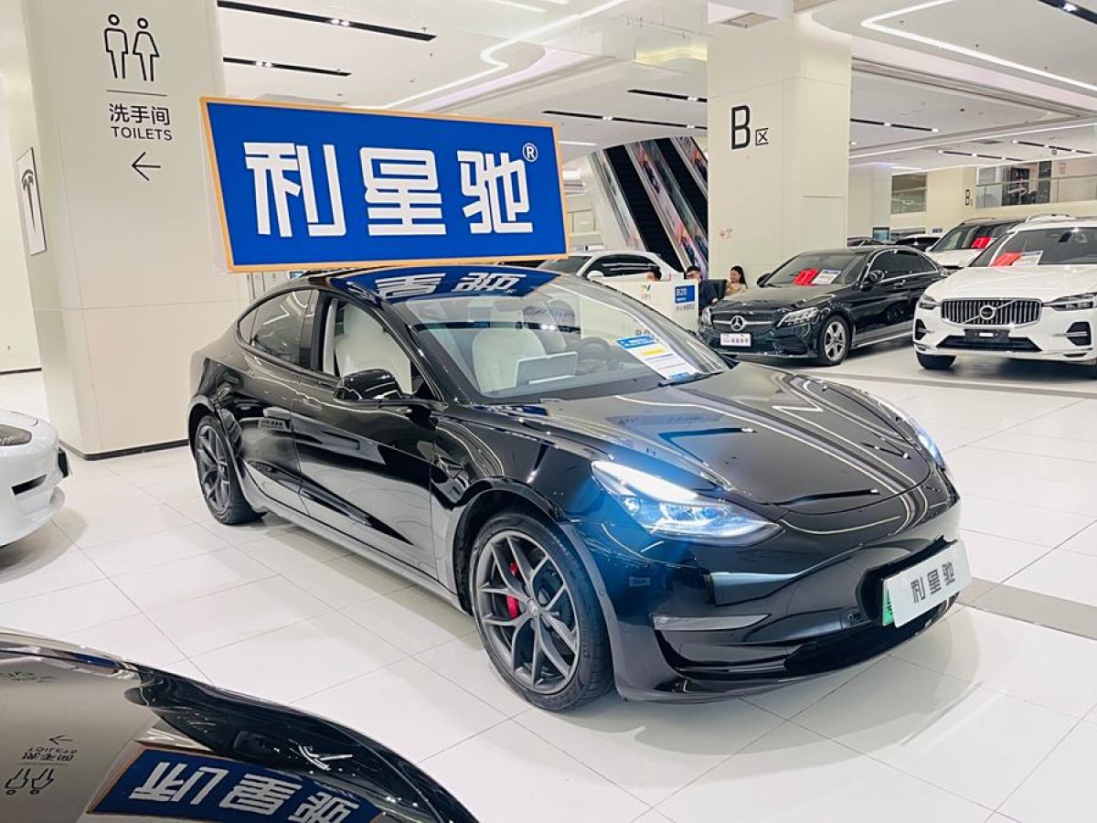 特斯拉 Model 3  2022款 Performance高性能全輪驅(qū)動(dòng)版圖片