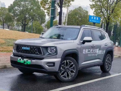 2023年3月 哈弗 哈弗二代大狗新能源 DHT-PHEV 105km 潮電版Plus圖片