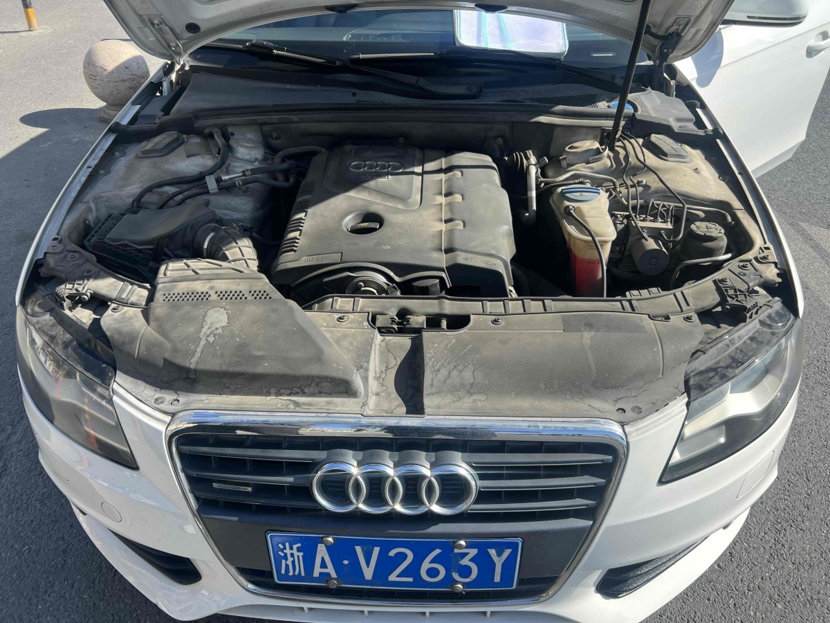 奧迪 奧迪A4L  2010款 2.0 TFSI 舒適型圖片