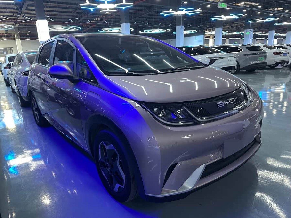 比亞迪 海豚  2023款 420km 時尚版圖片