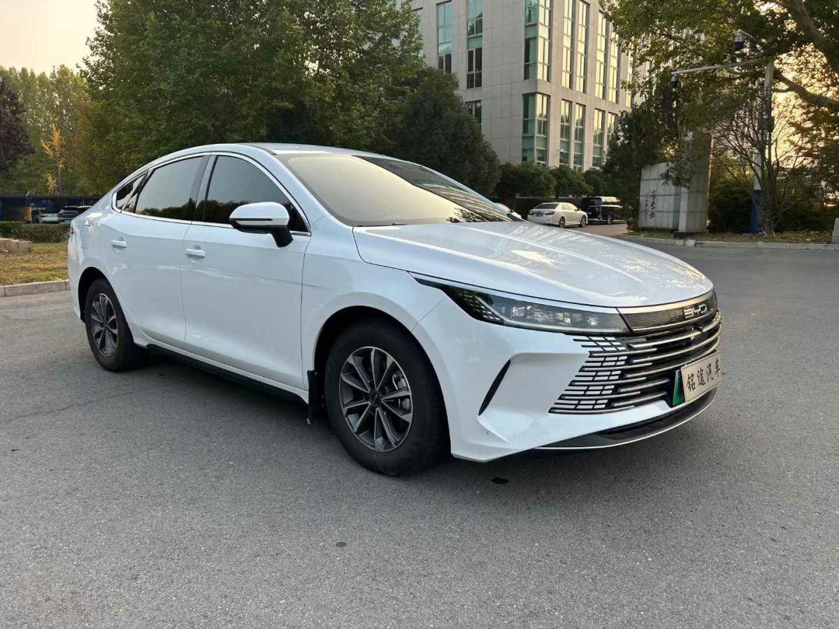 比亞迪 宋L  2024款 550km 卓越型圖片