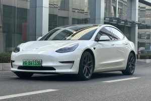 Model Y 特斯拉 Performance高性能全輪驅(qū)動(dòng)版