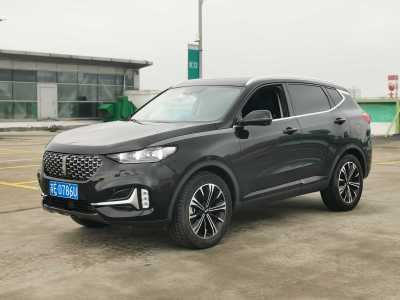 2020年9月 WEY VV6 2.0T 两驱智享+图片