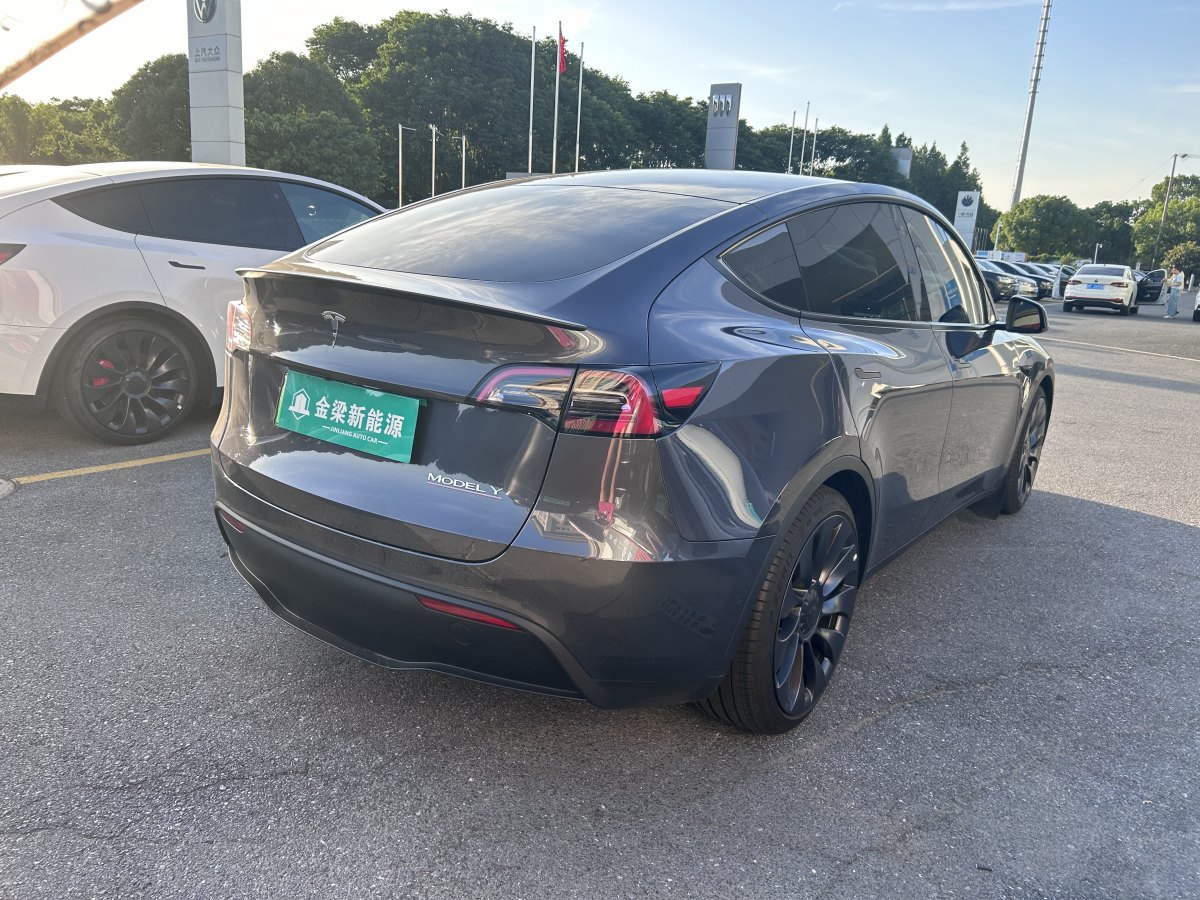 特斯拉 Model Y  2022款 Performance高性能全轮驱动版图片