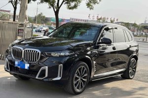 寶馬X5 寶馬 xDrive 30Li M運動套裝
