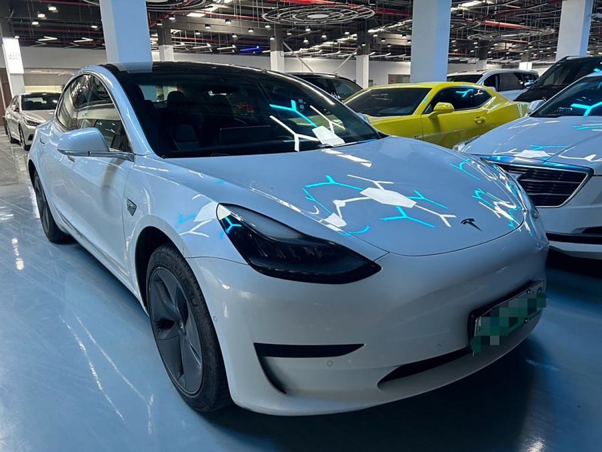 特斯拉 Model 3  2019款 標(biāo)準(zhǔn)續(xù)航后驅(qū)升級版圖片