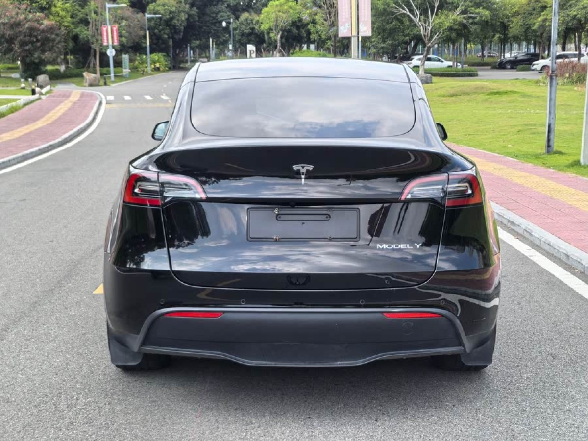 特斯拉 Model Y  2021款 標(biāo)準(zhǔn)續(xù)航后驅(qū)版圖片