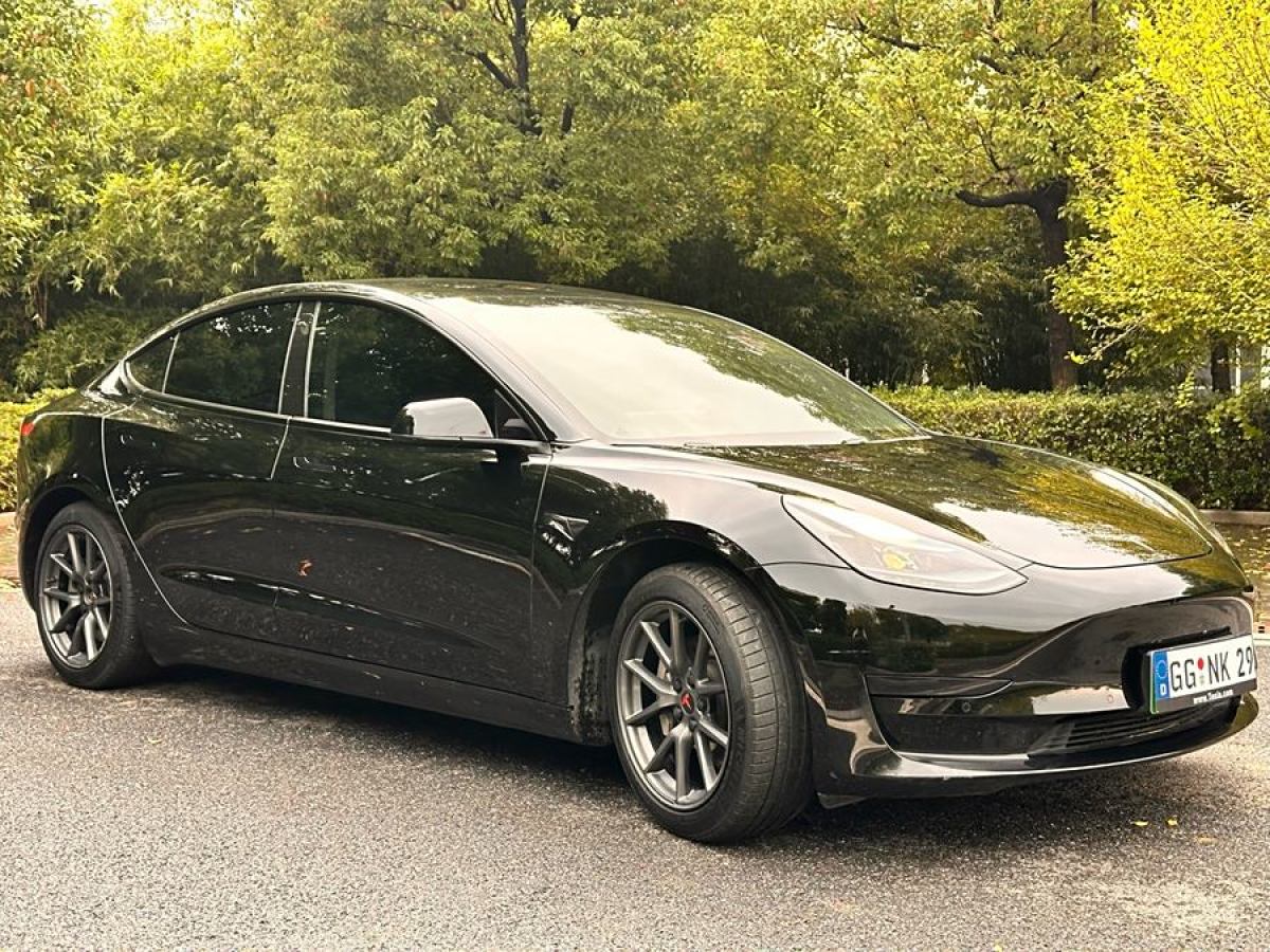 2021年3月特斯拉 Model Y  2021款 改款 標準續(xù)航后驅(qū)升級版