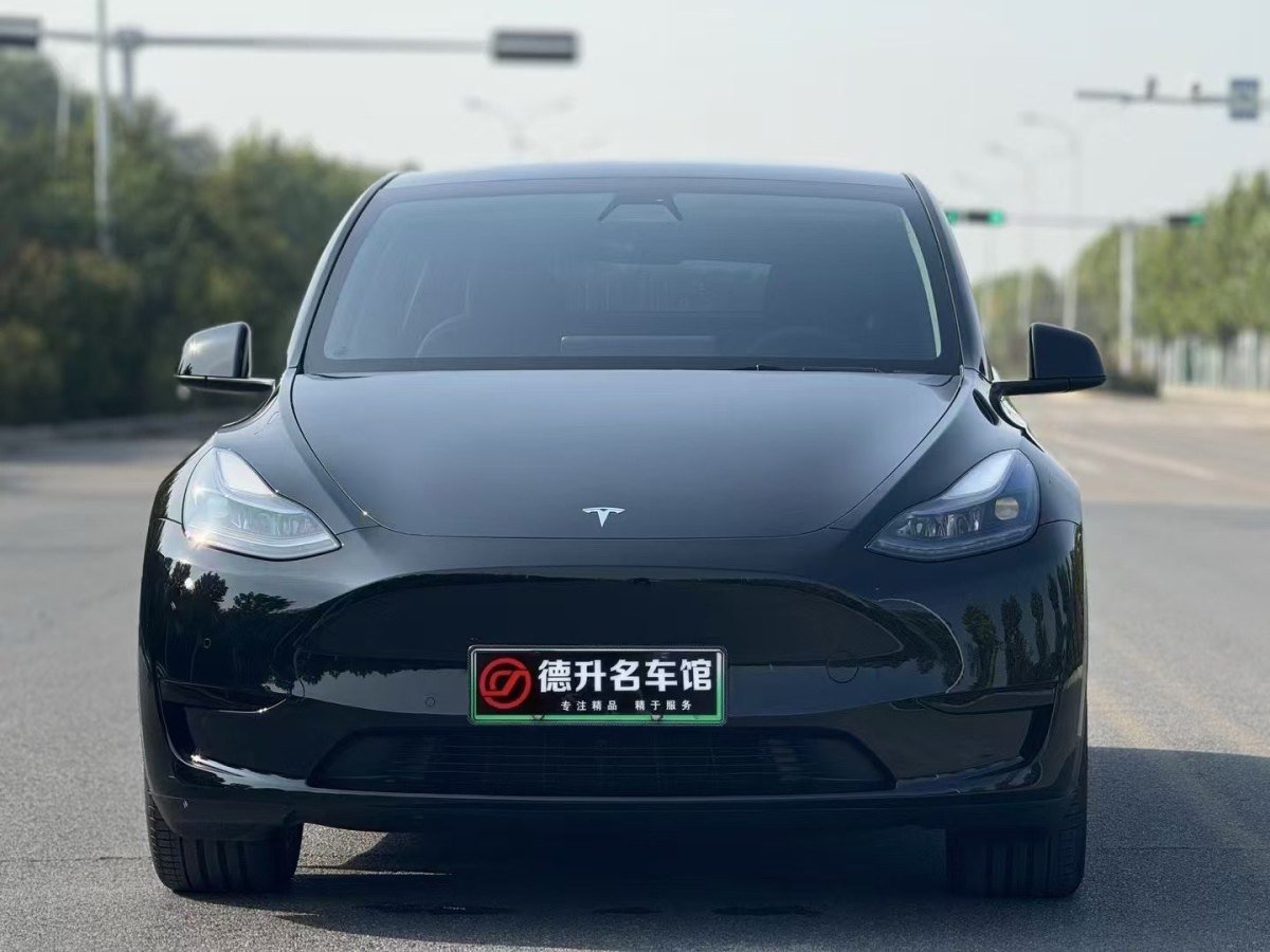 特斯拉 Model Y  2020款 改款 長(zhǎng)續(xù)航后輪驅(qū)動(dòng)版圖片