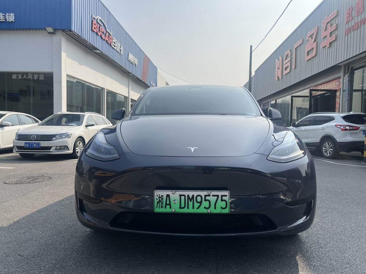 特斯拉 Model Y  2020款 改款 長續(xù)航后輪驅(qū)動版圖片