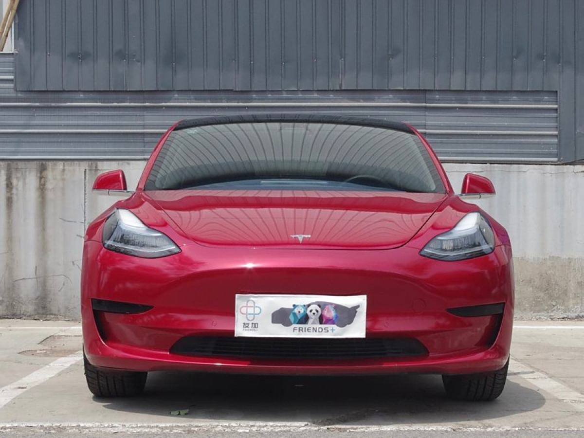 特斯拉 Model 3  2019款 標(biāo)準(zhǔn)續(xù)航后驅(qū)升級版圖片