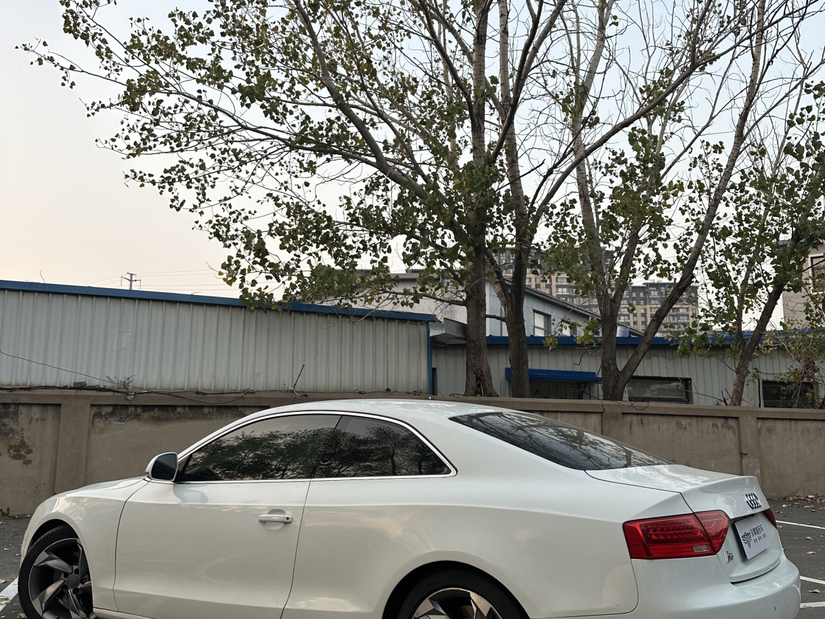 奥迪 奥迪A5  2008款 3.2 coupe quattro图片