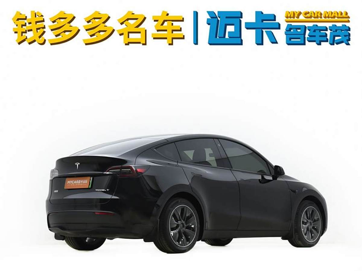 特斯拉 Model Y  2022款 后輪驅(qū)動(dòng)版圖片