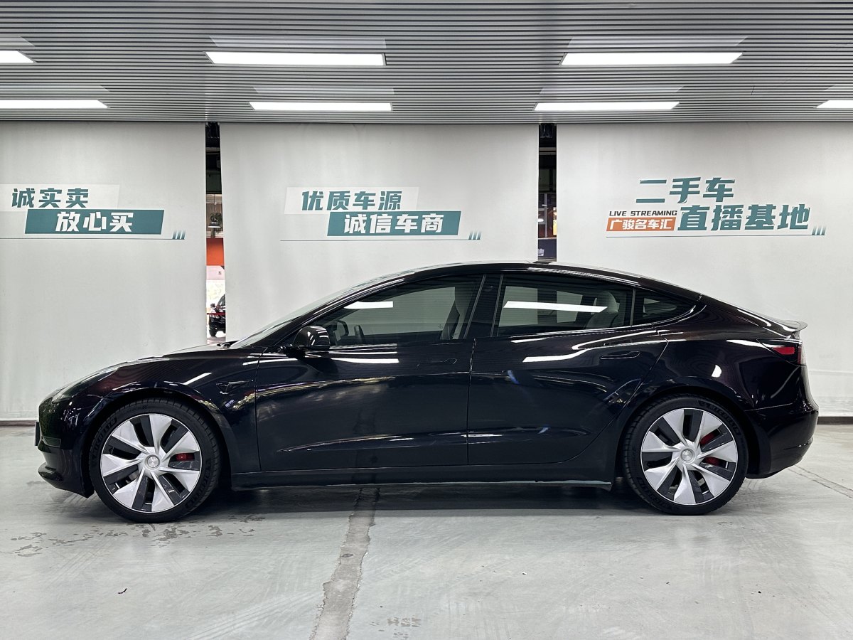 特斯拉 Model 3  2019款 Performance高性能全輪驅(qū)動版圖片