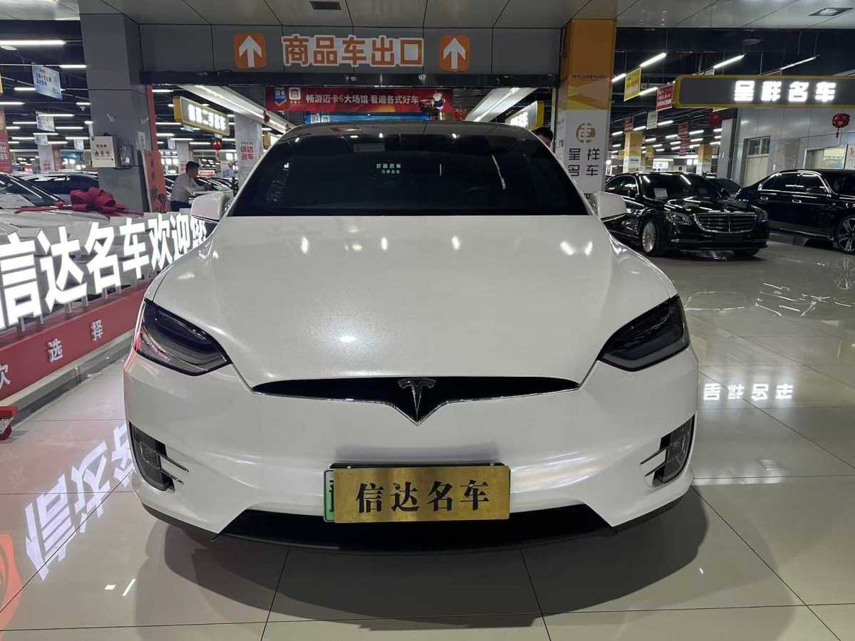 特斯拉 Model X  2019款 長續(xù)航版圖片