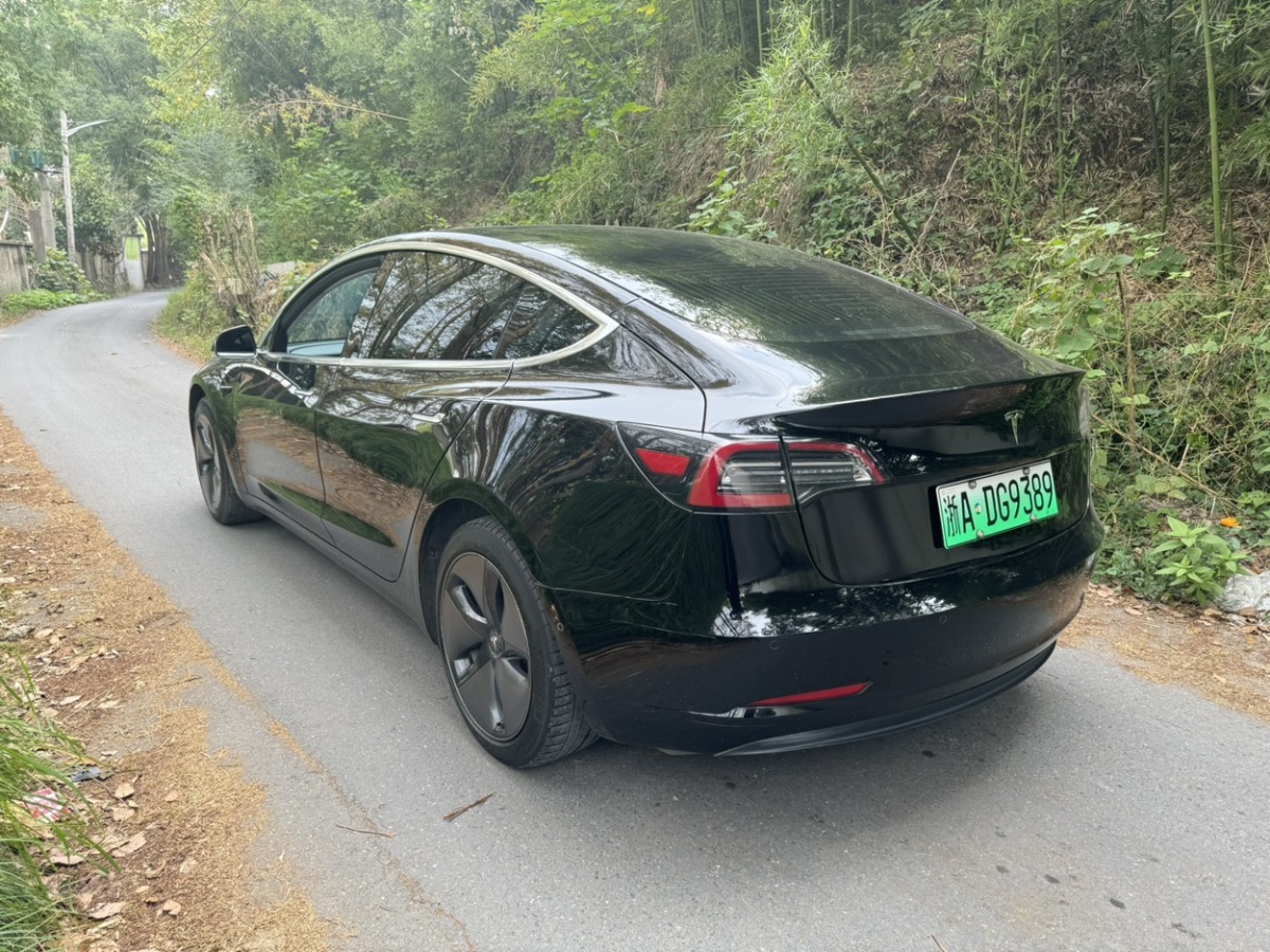 特斯拉 Model 3  2019款 長續(xù)航后驅(qū)版圖片