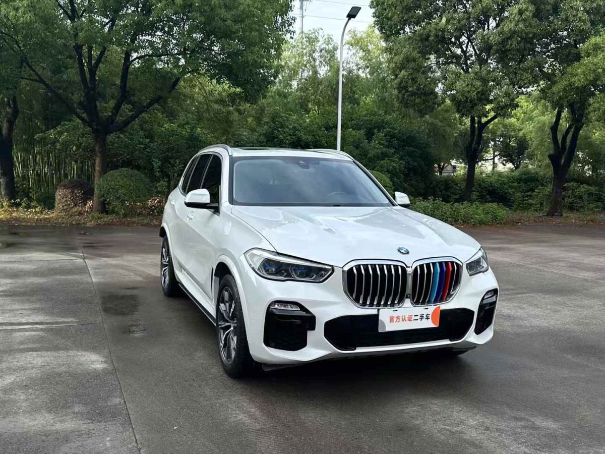 寶馬 寶馬X5  2019款 xDrive30i X設(shè)計(jì)套裝圖片