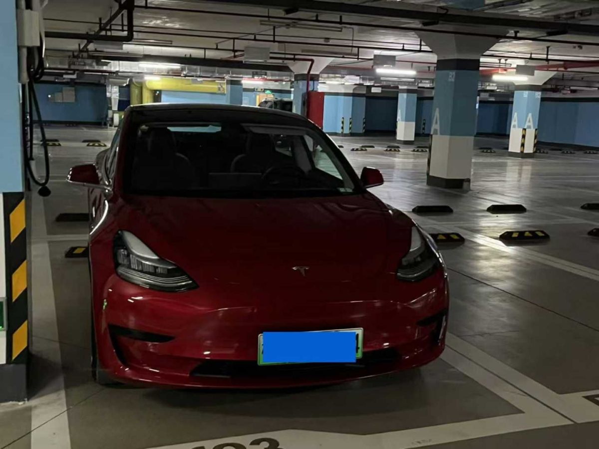 特斯拉 Model 3  2020款 標準續(xù)航后驅升級版圖片