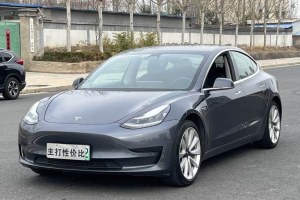 Model 3 特斯拉 改款 標(biāo)準(zhǔn)續(xù)航后驅(qū)升級版
