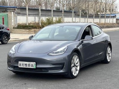 2020年3月 特斯拉 Model 3 改款 標(biāo)準(zhǔn)續(xù)航后驅(qū)升級(jí)版圖片