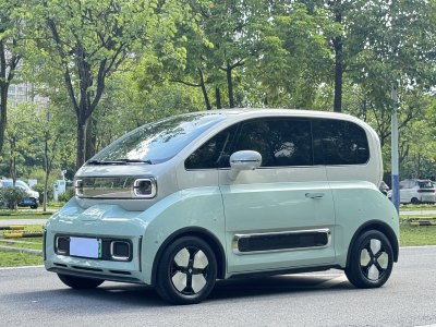 2022年9月 宝骏 宝骏KiWi EV 大疆版 磷酸铁锂图片