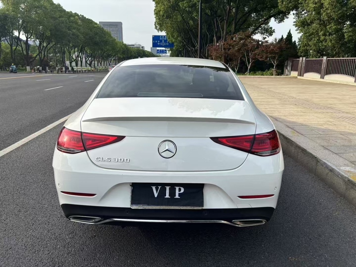奔馳 奔馳CLS級  2021款 CLS 300 豪華型圖片