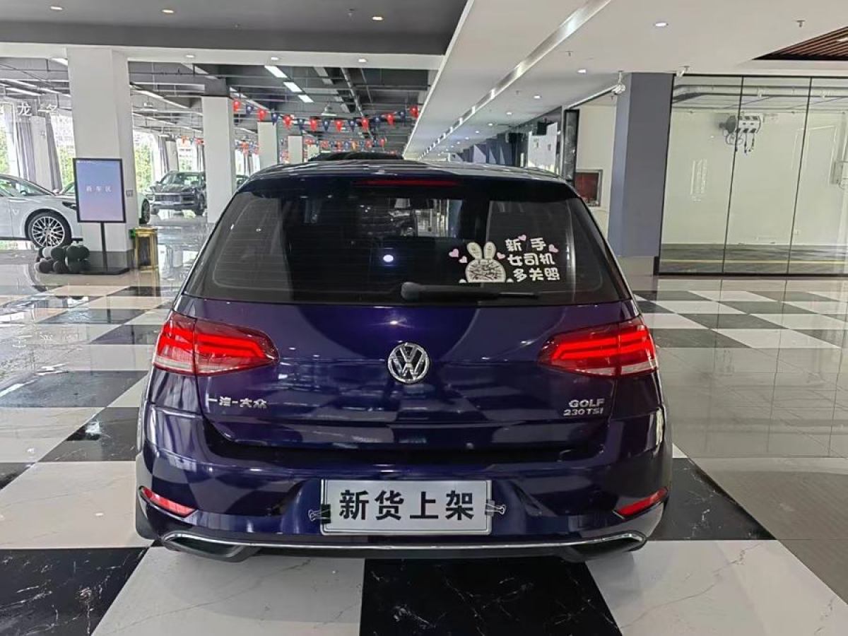 大眾 高爾夫  2018款 230TSI 自動(dòng)舒適型圖片