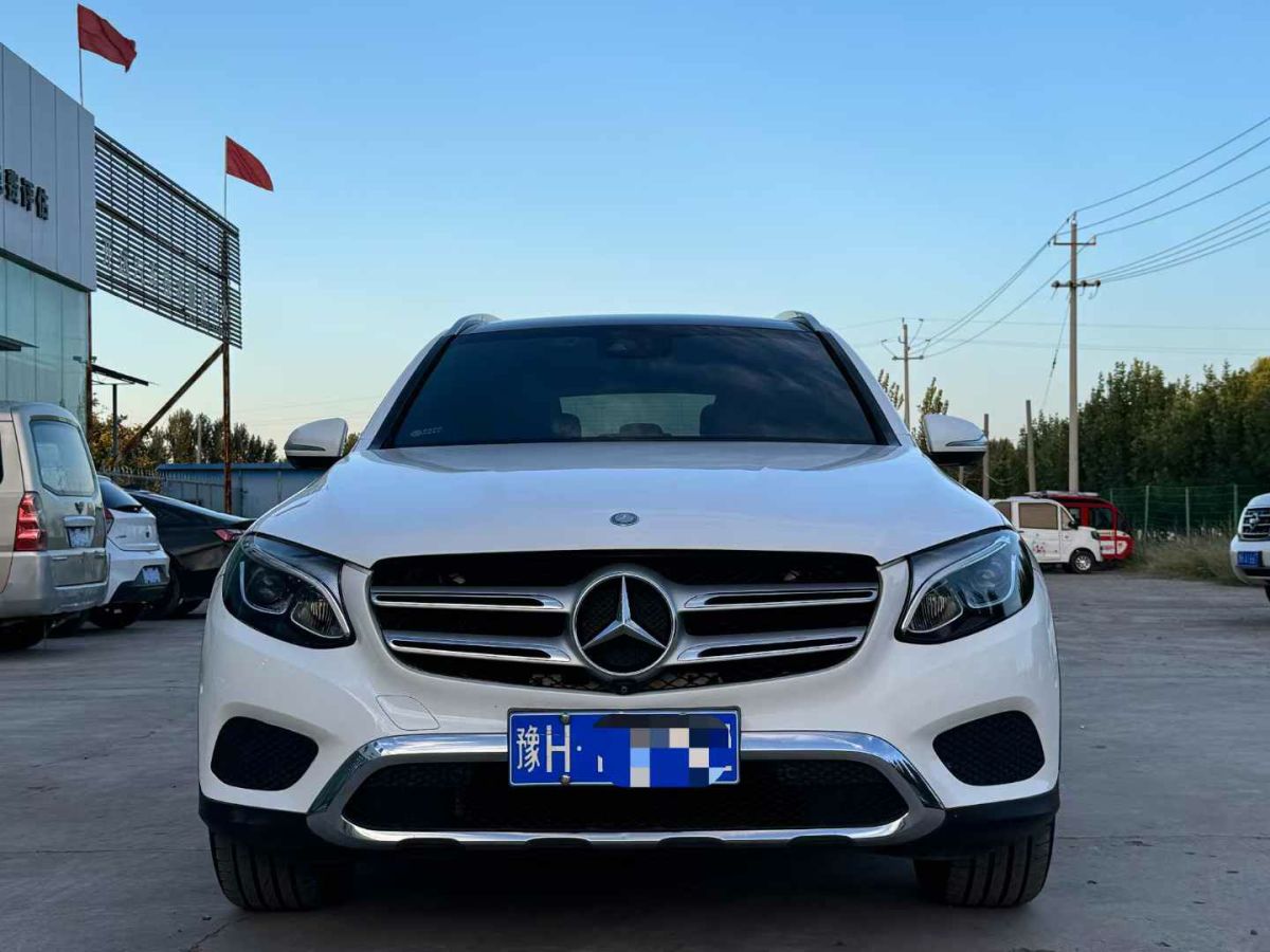 2016年1月奔馳 奔馳GLC  2016款 GLC 300 4MATIC 豪華型