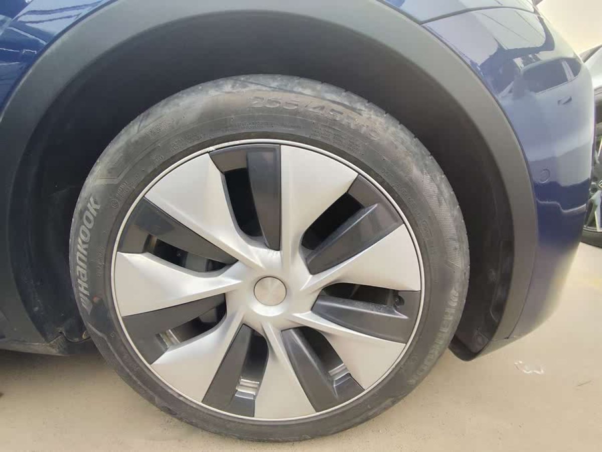 特斯拉 Model Y  2021款 標(biāo)準(zhǔn)續(xù)航后驅(qū)版圖片