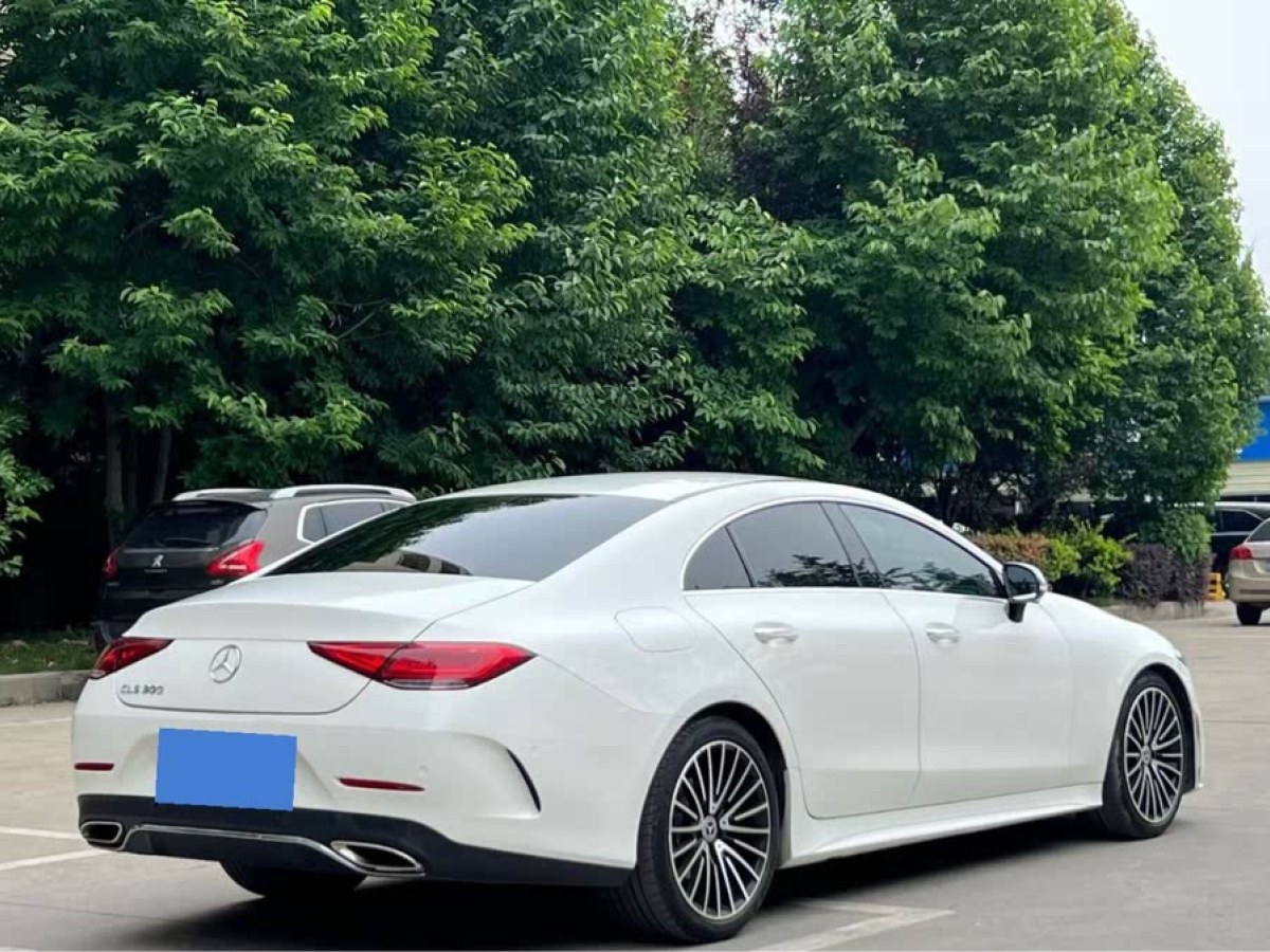 奔馳 奔馳CLS級(jí)  2018款 CLS 300 豪華型圖片