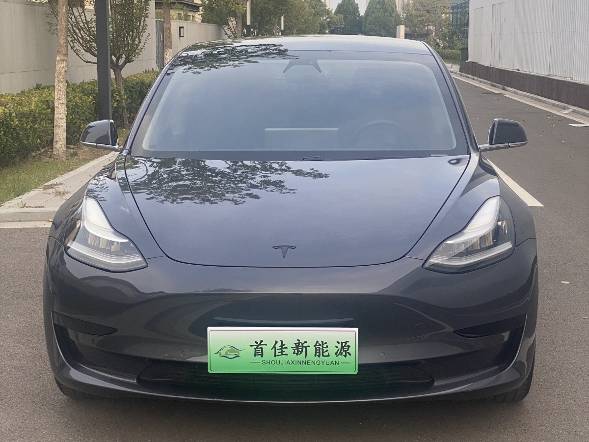 特斯拉 Model 3  2019款 標(biāo)準(zhǔn)續(xù)航后驅(qū)升級(jí)版圖片