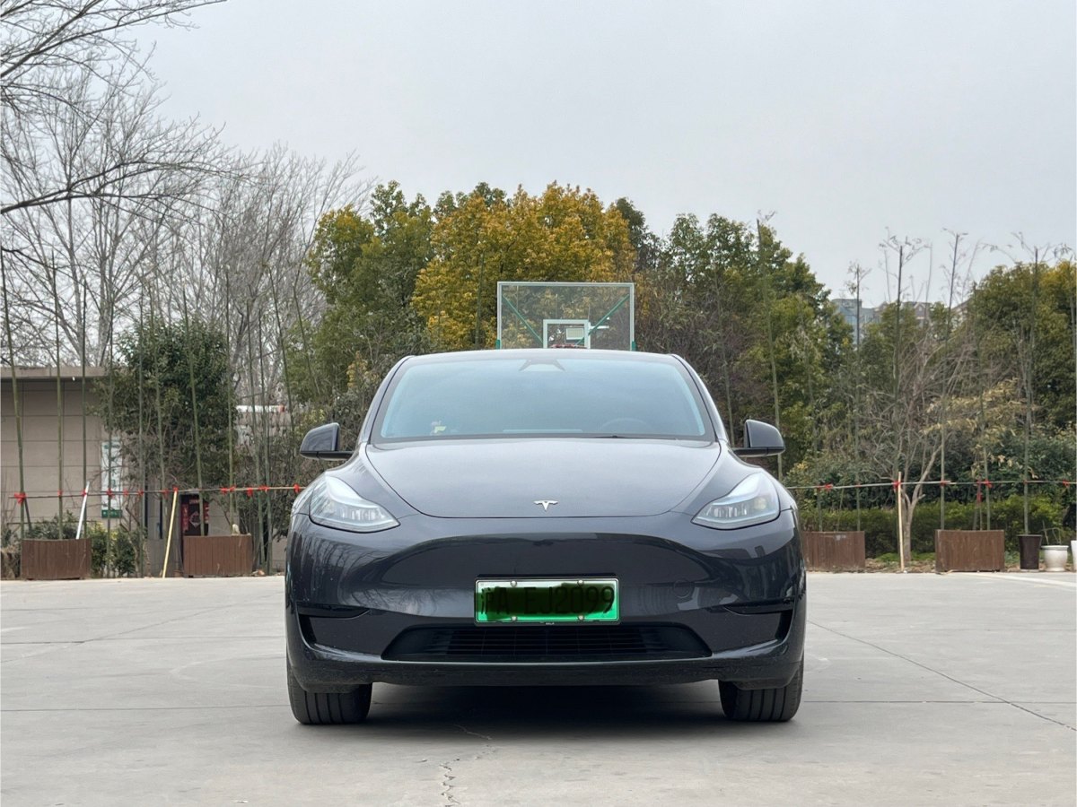 特斯拉 Model 3  2020款 改款 長續(xù)航后輪驅動版圖片