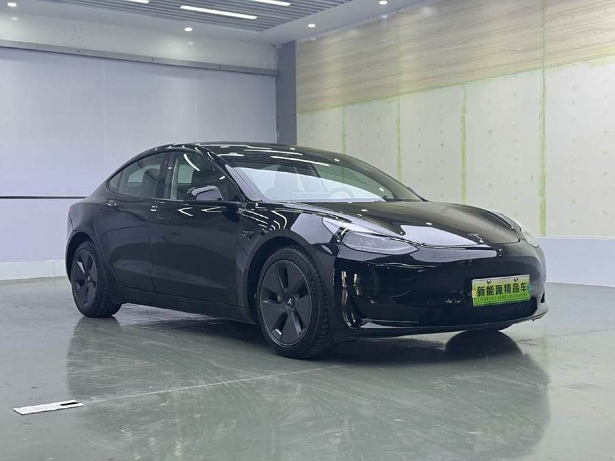 2021年7月特斯拉 Model 3  2021款 標(biāo)準(zhǔn)續(xù)航后驅(qū)升級版 3D6