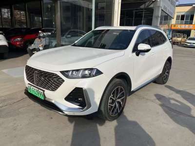 2023年1月 WEY 拿鐵DHT-PHEV 1.5T 兩驅(qū)超大杯圖片