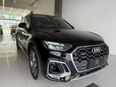 2022年1月 奧迪 奧迪Q5 e-tron 40 e-tron 星耀型 機(jī)甲套裝圖片