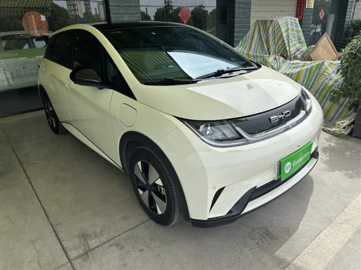 比亞迪 海豚  2023款 420km 時(shí)尚版圖片
