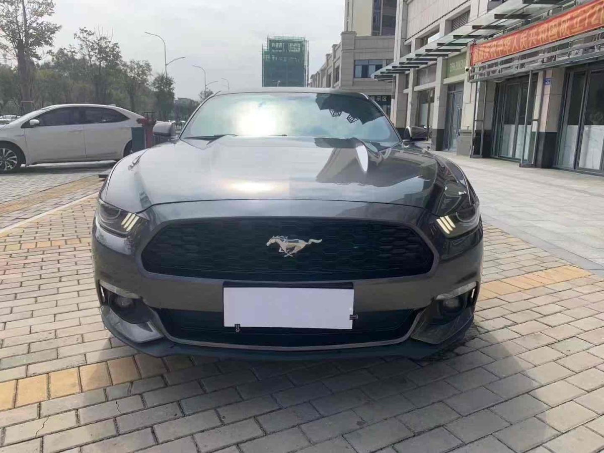 福特 Mustang  2016款 2.3T 性能版圖片