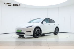 Model Y 特斯拉 Performance高性能全轮驱动版