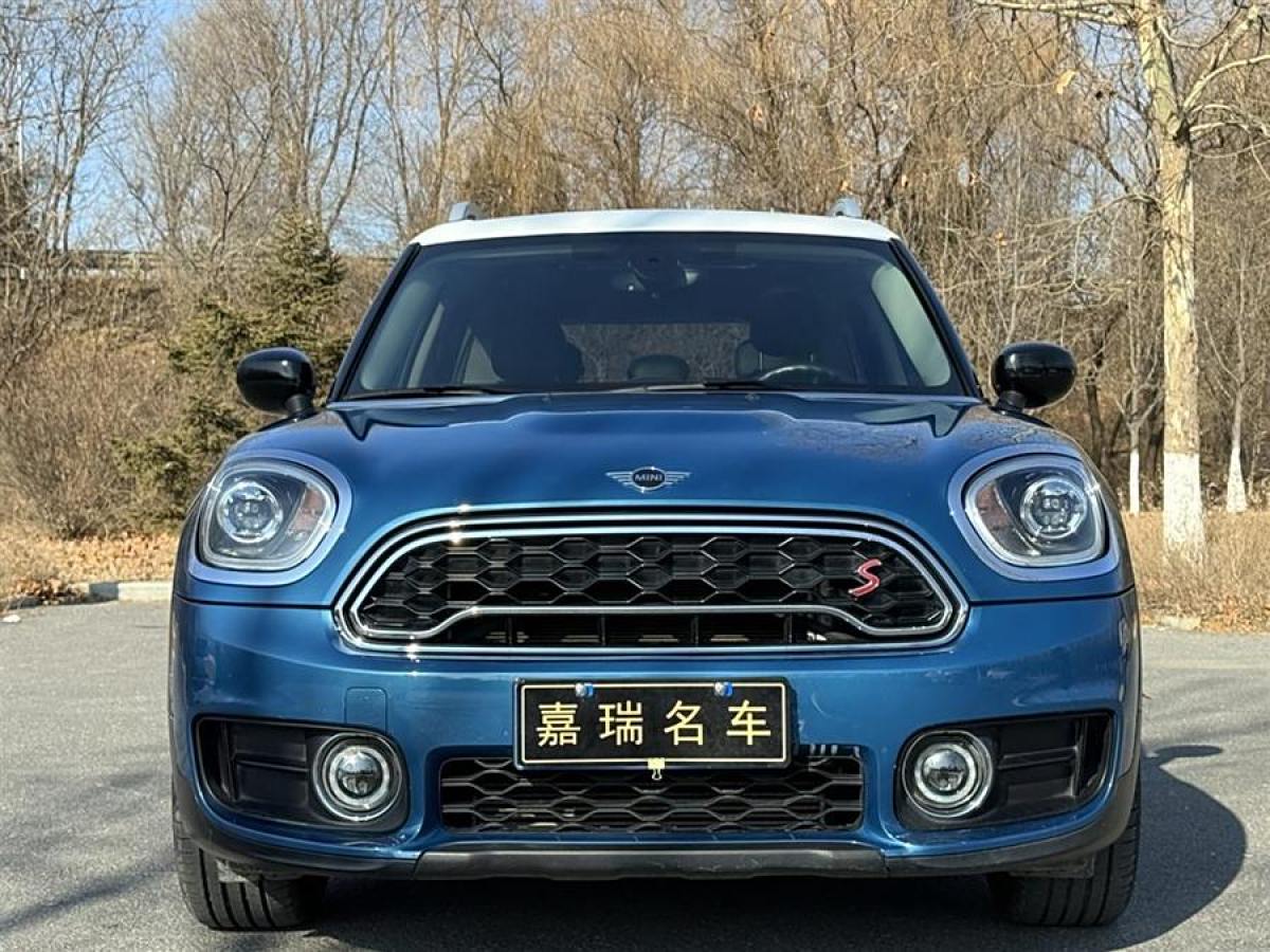 MINI COUNTRYMAN  2019款 2.0T COOPER S ALL4 藝術(shù)家圖片