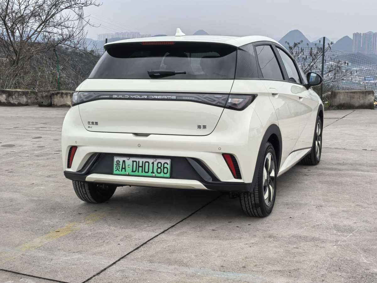 比亞迪 海豚  2024款 榮耀版 420km 時尚版圖片