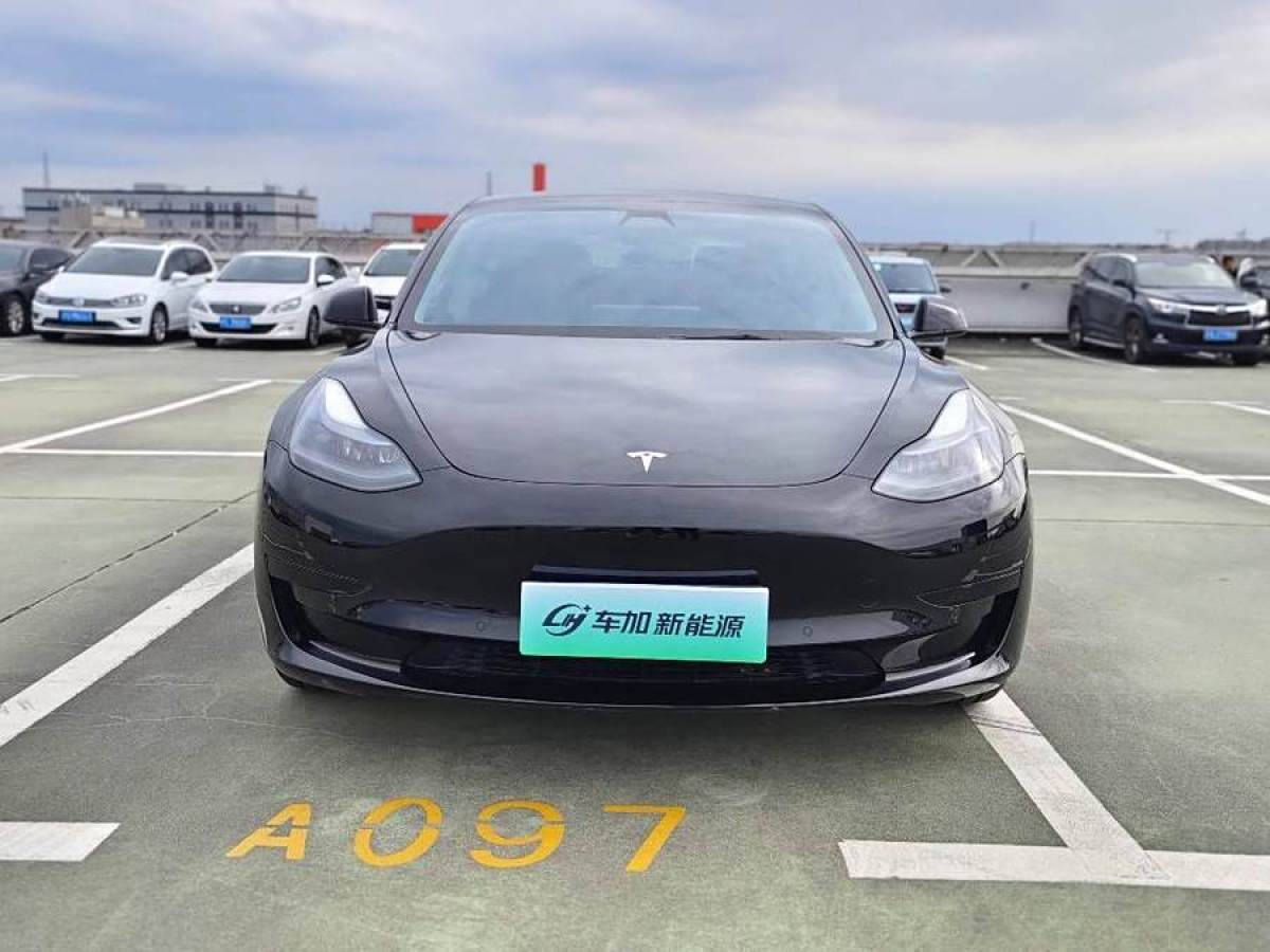 特斯拉 Model 3  2021款 改款 標準續(xù)航后驅(qū)升級版圖片